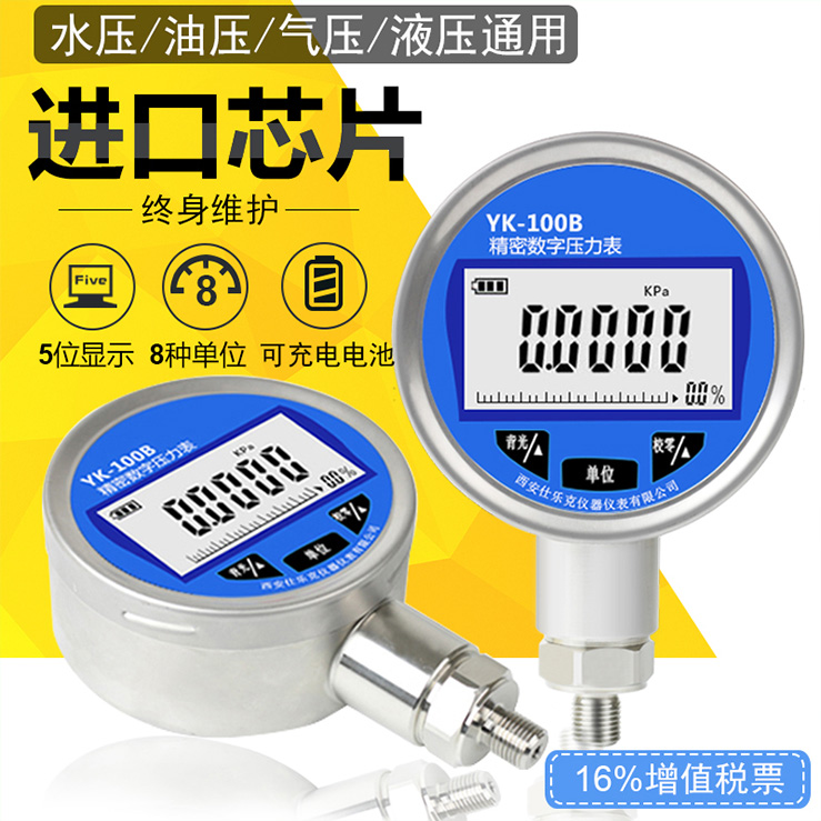 精密數(shù)字壓力表