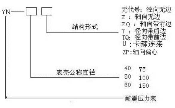 耐震壓力表命名方式