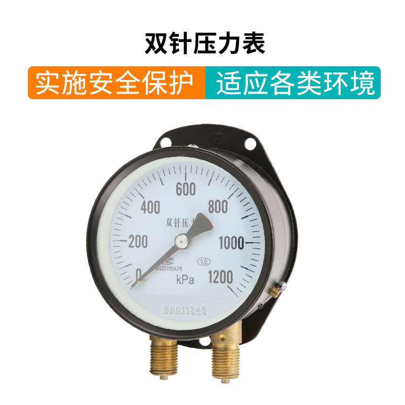 YZS-102雙針壓力表