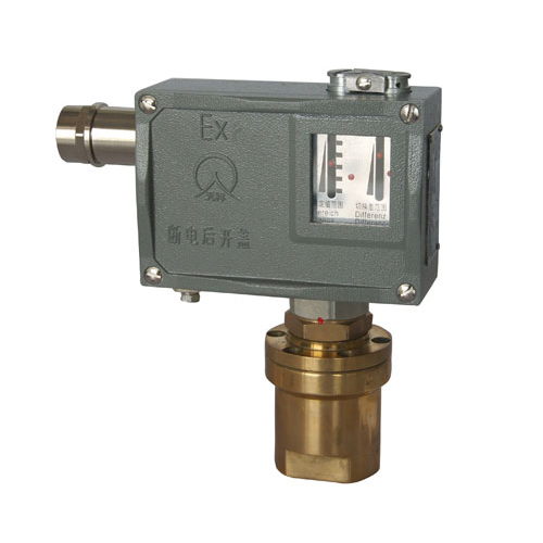  520/7DD������_�P(gu��n) 