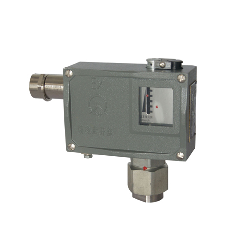  501/7D���������_�P(gu��n) 