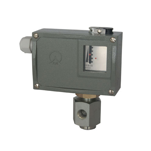  504/7D�����_�P(gu��n) 