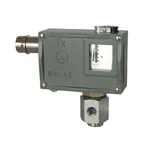  504/7D���������_�P(gu��n) 