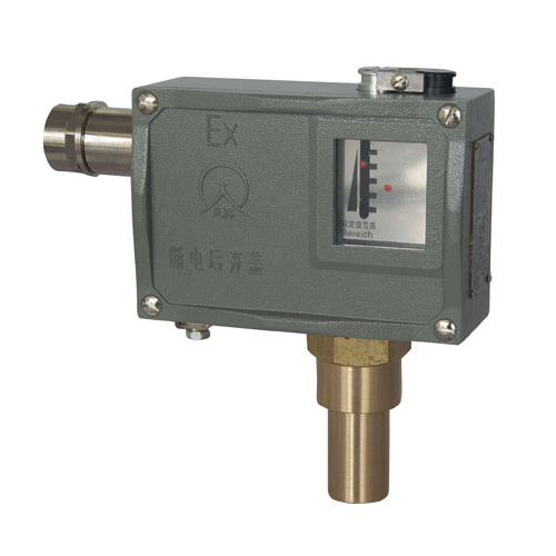  505/7D���������_�P(gu��n) 