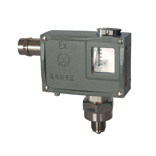  511/7D���������_�P(gu��n) 