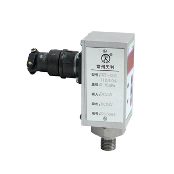  TXZS1�����܉����_�P(gu��n) 