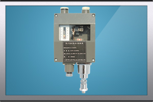 BL-Y50C船用壓力開關(guān)