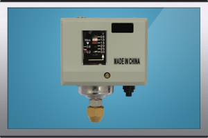 BL-Y50C船用壓力開(kāi)關(guān)