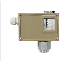 �����͉����_�P(gu��n)